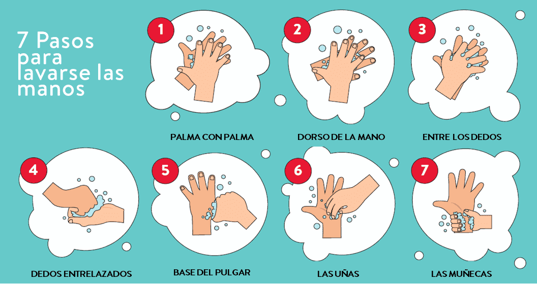 7 pasos para lavarse las manos